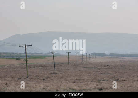 Telegrafenmasten schneiden über Cors Fochno Borth Torfmoor, in der Nähe von Aberystwyth. Der Standort wurde in der BBC-Drama Hinterland genutzt. Stockfoto