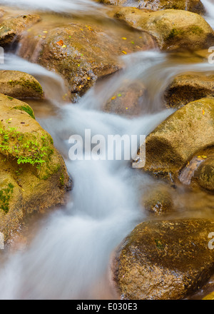Wasserstrom mit bemoosten Felsen, erschossen in langen Belichtungszeit Stockfoto