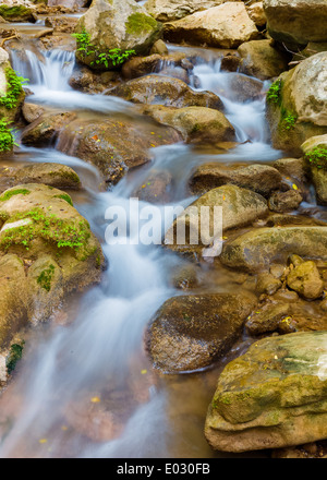 Wasserstrom mit bemoosten Felsen, erschossen in langen Belichtungszeit Stockfoto