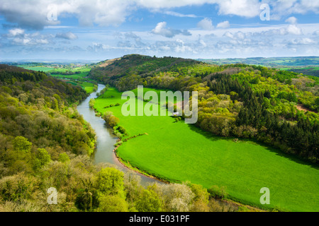 Blick über das Wye Valley im Frühling von Yat Rock, Symonds Yat, Herefordshire, England Stockfoto