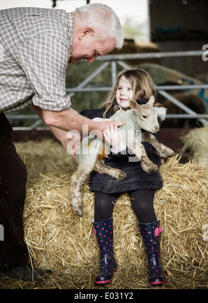 Ein Mädchen hält ein kleines Neugeborenes Lamm. Stockfoto