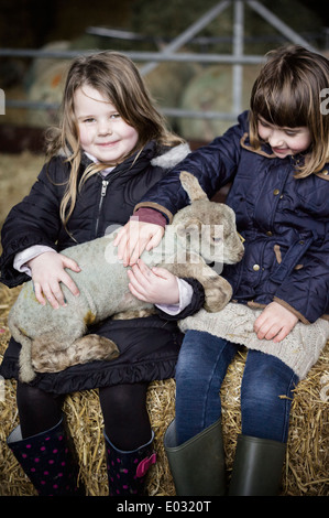 Kinder und Neugeborene Lämmer in einem Lämmer Schuppen. Stockfoto