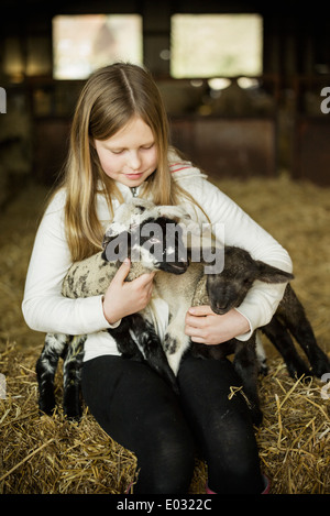 Ein Mädchen hält zwei kleine Lämmer. Stockfoto