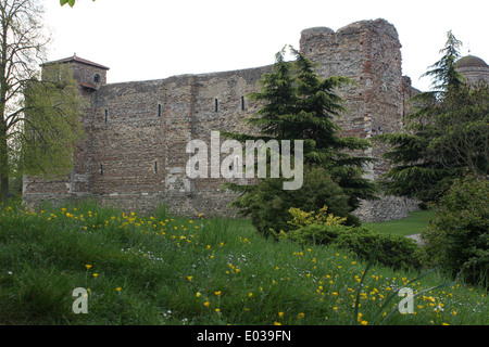 Colchester Castle in Colchester Essex Stockfoto