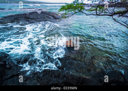 Plakette markiert die Stelle, wo Captain James Cook getötet wurde, Kealakekua Bay, Kona Coast, Hawaii USA Stockfoto