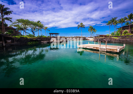 Badelagune an vier Seasons Hualalai, Kohala Coast, Hawaii USA Stockfoto