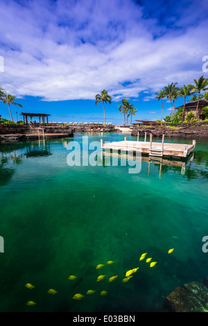 Badelagune an vier Seasons Hualalai, Kohala Coast, Hawaii USA Stockfoto