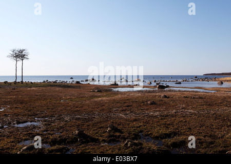 Die Ostsee auf der Halbinsel Juminda in Estland. Das Land am Meer ist schwer und sumpfig. Stockfoto