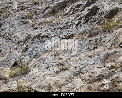 Calera Kalkstein Betten, Rockaway Steinbruch, Pacifica, Kalifornien Stockfoto