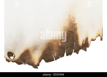 Verbrannte Blatt mit textfreiraum Isolated on White Background. Stockfoto