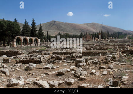 Beirut Libanon. 30. April 2014. Die Stadt Anjar befindet sich in der Bekaa-Ebene im Libanon bezeichnet ist, als ein UNESCO-Welterbe-Zentrum gegründet im 8. Jahrhundert leer liegt, wie Touristen Weg aufgrund der laufenden syrischen Bürgerkrieg bleiben Stockfoto