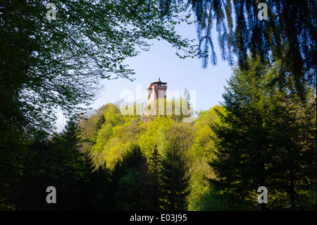 Ansicht der Burg Berwartstein bei Erlenbach Pfälzer Wald Deutschland Stockfoto