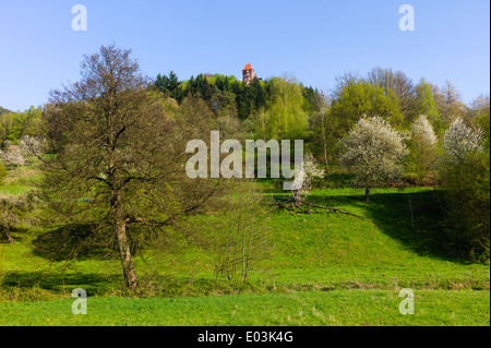 Ansicht der Burg Berwartstein bei Erlenbach Pfälzer Wald Deutschland Stockfoto