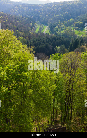 Blick von der Burg Berwartstein bei Erlenbach Pfälzer Wald Deutschland Stockfoto