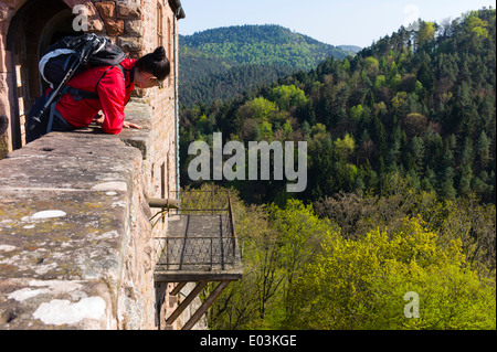 Blick von der Burg Berwartstein bei Erlenbach Pfälzer Wald Deutschland Stockfoto