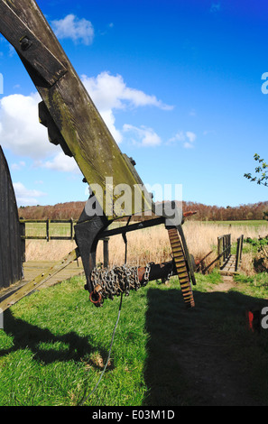 Ein Blick auf die Tailpole der Herringfleet Kittel Entwässerung Mühle, Suffolk, England, Vereinigtes Königreich. Stockfoto