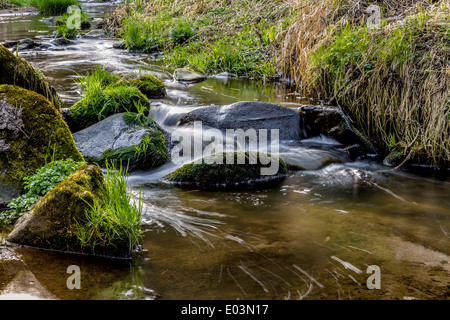 Fällt auf den kleinen Bergfluss in einem Wald im Frühjahr Stockfoto