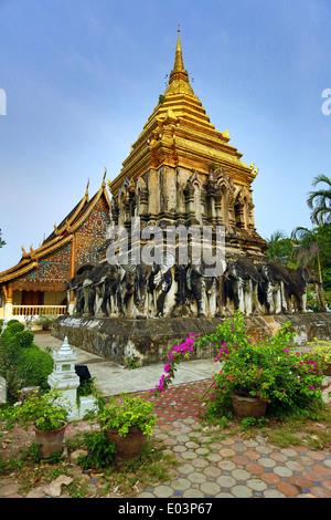 Goldene Turmspitze des Chedi dekoriert mit Elefanten in Wat Chiang Man Tempel in Chiang Mai, Thailand Stockfoto