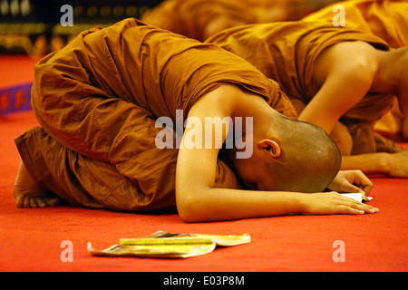 Buddhistische Mönche beten während Songkran im Tempel von Wat Chedi Luang in Chiang Mai, Thailand Stockfoto