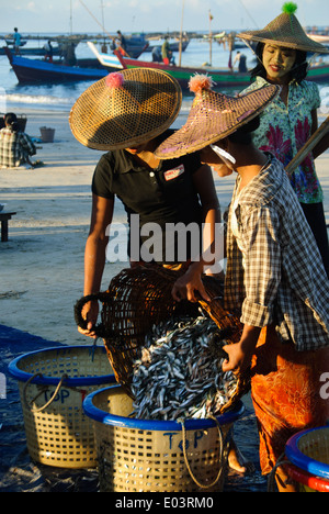 Birmanische Frauen helfen Übertragung von Fischen aus dem Boot ans Meer. Stockfoto