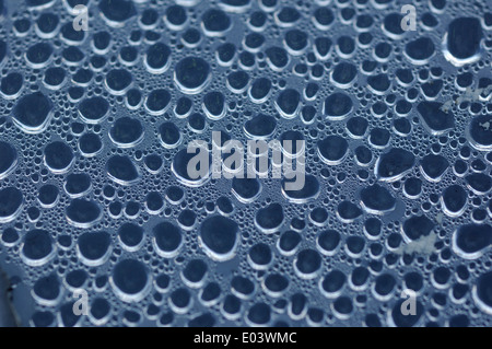 Wassertropfen auf Innenfläche der Plastikpflanze Verbreiter Stockfoto