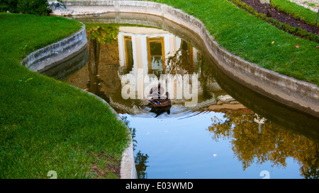 Ente auf dem Wasser Stockfoto