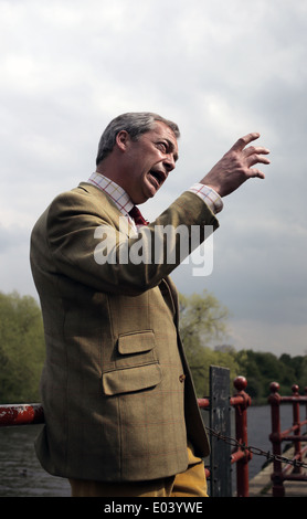 Die UKIP Führer Nigel Farage MEP Werbetätigkeit in Yarm, Cleveland, UK. Stockfoto