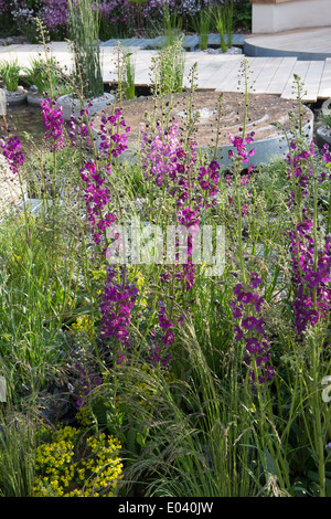 RHS Chelsea Flower show 2013 100. Jubiläums Stockfoto