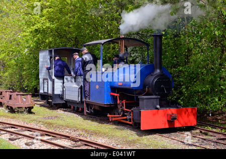 W.G.Bagnall Ltd., Stafford, Sattel 0-4-0 Tank "Wendy" in Bursledon Industriemuseum Ziegelei, Hampshire. Stockfoto