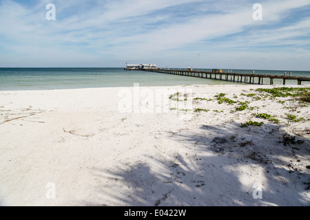 Anna Maria Island City Pier in den Golf von Mexiko FL Stockfoto