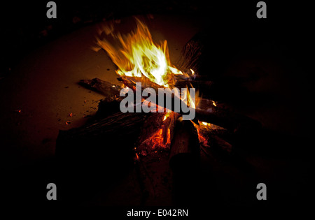 Holz Lagerfeuer Sambesi-Tal in der Nähe von Livingstone, Sambia Stockfoto