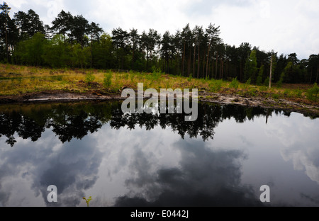 Eines der neuen Pools ausgegraben in Pulborough Brooks RSPB Heide-Naturschutzgebiet Stockfoto