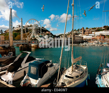 GB - DEVON: Torquay Hafen und Stadt Stockfoto