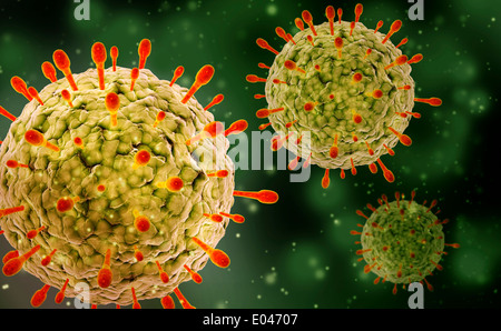 Mikroskopische Ansicht des Herpes-Virus. Stockfoto