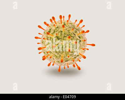 Mikroskopische Ansicht des Herpes-Virus. Stockfoto