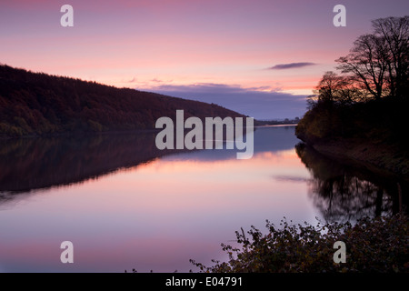 Schöner ländlicher, malerischer Sonnenaufgang über Stillen, ruhiges Wasser (Wald und Lichtreflexe des farbenfrohen rosafarbenen Himmels) - Lindley Wood Reservoir, North Yorkshire, GB. Stockfoto