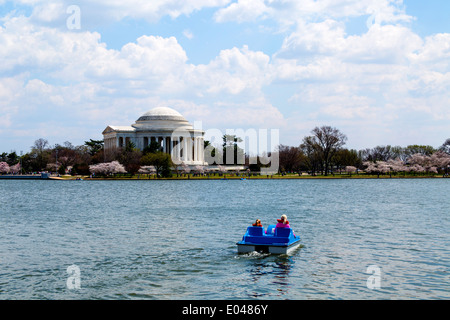 Washington DC USA Thomas Jefferson Memorial mit Kirschbäume in Vollblüte um Tidal Basin mit Paddelboot Stockfoto