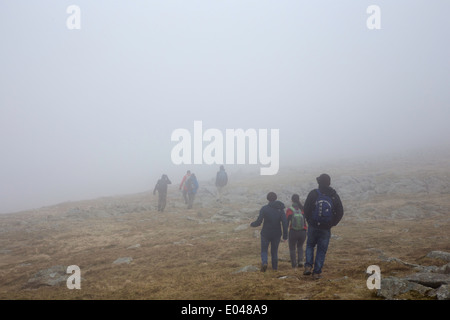 Wanderer im niedrigen Wolkendecke und schlechte Sicht auf Moel Siabod Berg im Snowdonia National Park, North Wales Stockfoto
