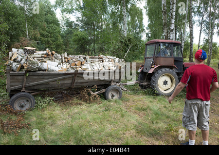 Mann Uhren Alter von 38 Jahren Anhänger sein Brennholz durch kleines Dienstprogramm Traktor gezogen wird. Zawady Zentralpolen Stockfoto