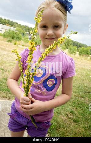 Polnische Mädchen Alter 6 hält einen Blumenstrauß wahrscheinlich Agrimony wachsen wild in der Nähe von ihrem Haus. Zawady Zentralpolen Stockfoto