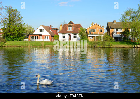 Themse, Truss Insel, Staines-upon-Thames, Surrey, England, Vereinigtes Königreich Stockfoto