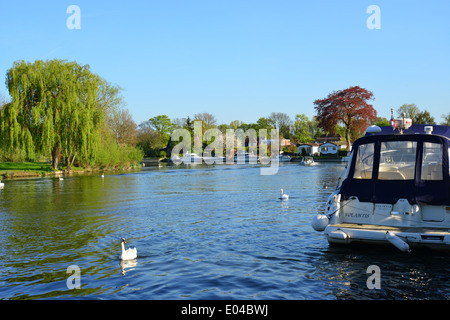 Themse, Truss Insel, Staines-upon-Thames, Surrey, England, Vereinigtes Königreich Stockfoto