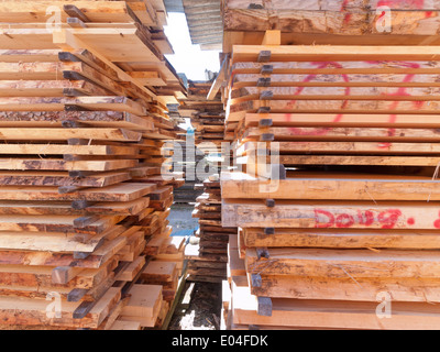 riesige Mengen von Holz / Holz gestapelt zur weiteren Verarbeitung in ein Holzlager im Emmental, Schweiz Stockfoto