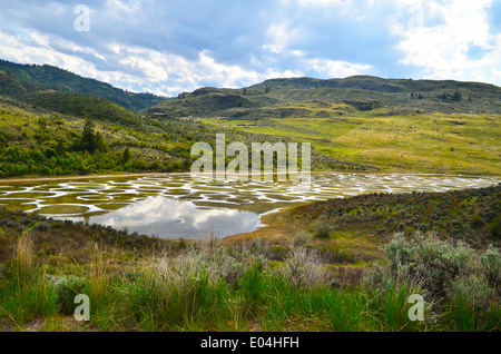 Gefleckte See, bekannt für seine ungewöhnliche mineralischen Ablagerungen.  Befindet sich in der Okanagan-Gebiet von British Columbia, in der Nähe von Osoyoos. Stockfoto