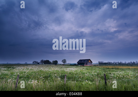 kleines Bauernhaus auf der Weide mit Löwenzahn in stürmischen Dämmerung, Niederlande Stockfoto