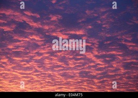Rote Wolken und Sonnenaufgang UK Stockfoto