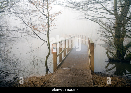 Holzsteg verschwinden im Nebel über dem Teichwasser im Wald Stockfoto