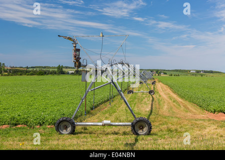 Beregnungs-und Bewässerungstechnik bekannt als ein Pivot-Sprinkler-System für ein Kartoffelfeld in ländlichen Prince Edward Island, Kanada. Stockfoto