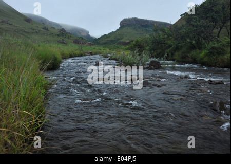 Giants Castle Game Reserve, KwaZulu-Natal, Südafrika, Bushman's River durch uKhahlamba Drakensberg, Weltkulturerbe, Landschaft fließt Stockfoto