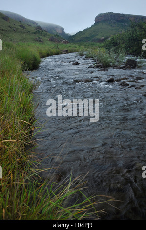 Giants Castle Naturreservat, Kwa Zulu-Natal, Südafrika, schöne Landschaft, Fluss von Bushmans Fluss in den Drakensberg Bergen, afrikanische Landschaften Stockfoto